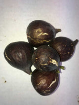 Sayreville Dark 5 figs