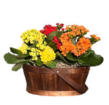 Seasonal blooming planter Standard