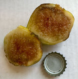 Sefrawi Fig Fruit Cross Section 