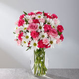  mini carnations and daisies Small