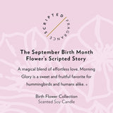 September Birthday Flower Candle Description