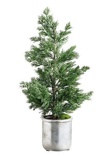 Silk Tabletop Juniper Tree in Pot 