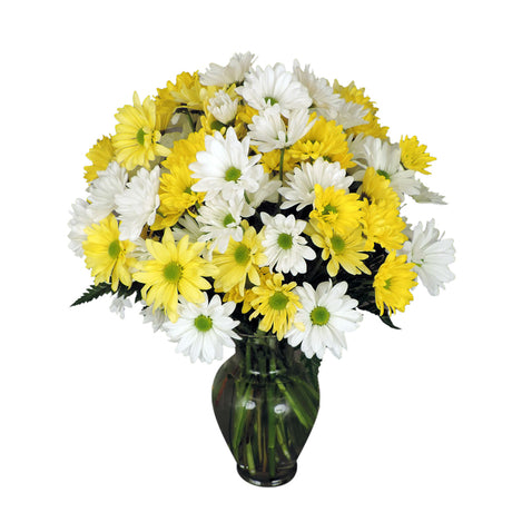 Simply Daisies Large Bouquet