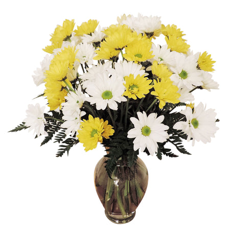 Simply Daisies Bouquet