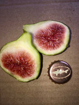 Smith fig halved