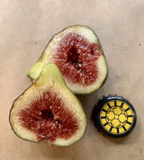 Socorro Black Fig Fruit