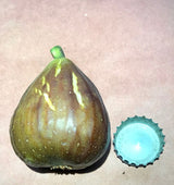 Sodus Sicilian Fig