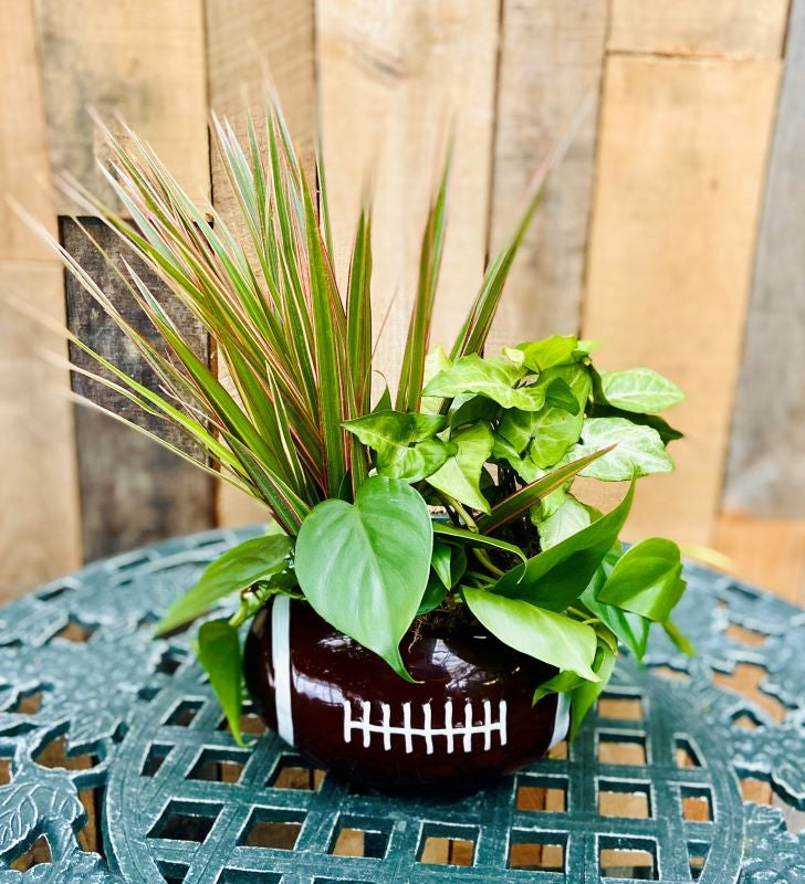 Sports Planter - Football