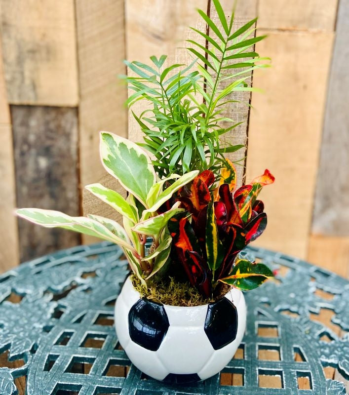 Sports Planter  - Soccer 