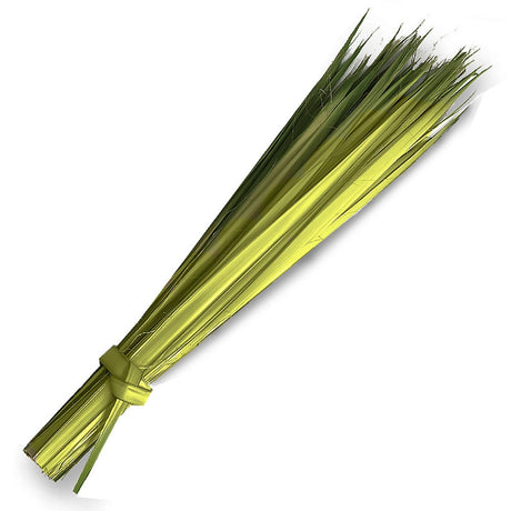 Stripped Palms for Palm Sunday