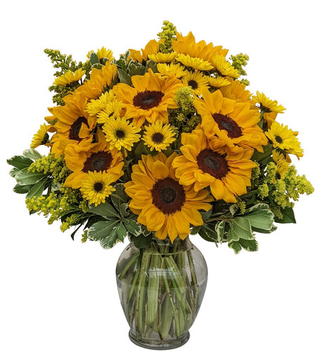 Sunflower Vase - Exquisite