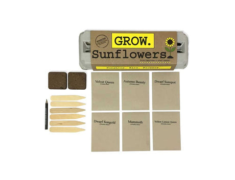 Contents of Sunflowers Grow Kit