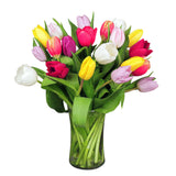 20 stems of asssorted color tulips arranged in a glass vase