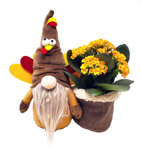 Terrance the Turkey Gnome Planter