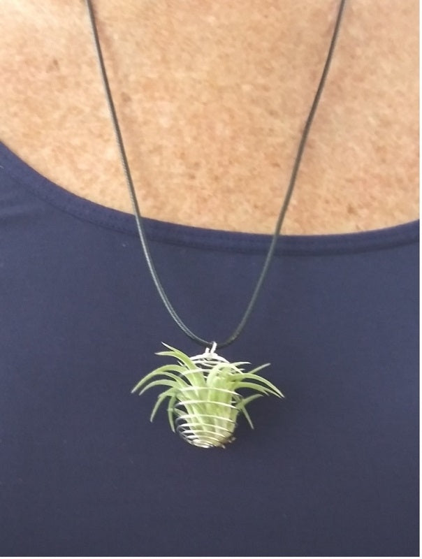 Tilly necklace with mini air plant