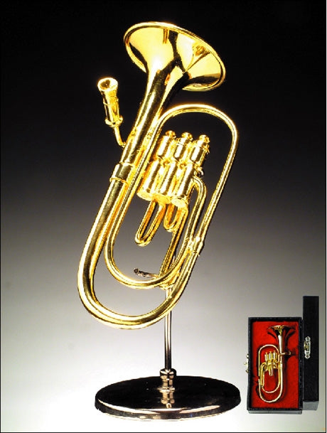 Tuba with Case