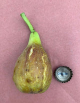 Turquie 2 Fig Fruit