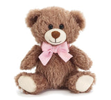 Valentine Teddy