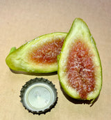 Verdalino Fig Fruit