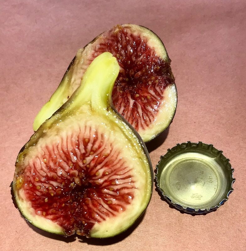 Violeta Fig Fruit Cross Section 