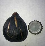 Violette de Bordeaux fig