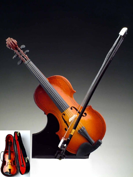 Violin with Case