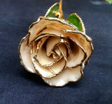 Gold Dipped White Leopard Rose