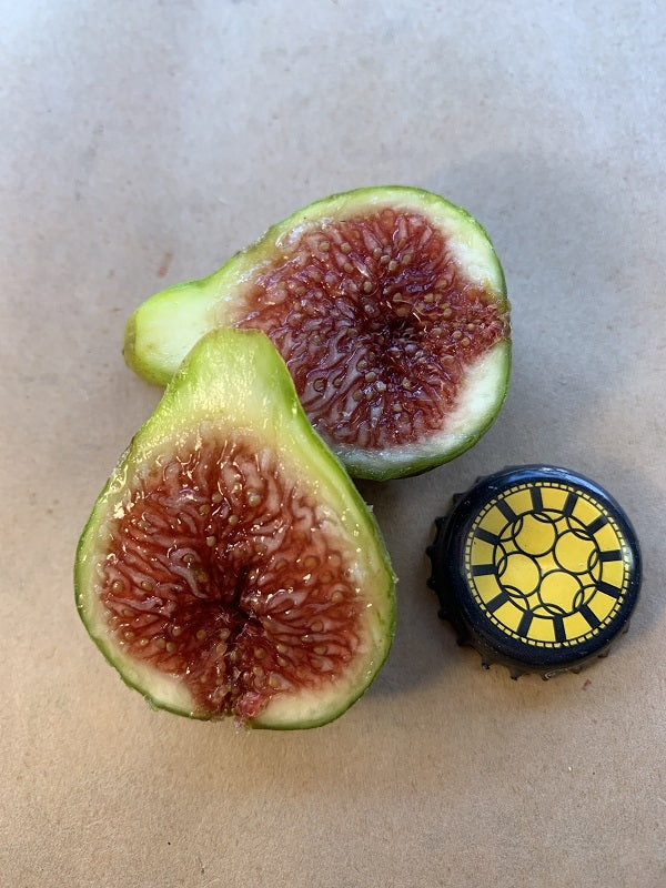 White Madeira #1 Fig Fruit