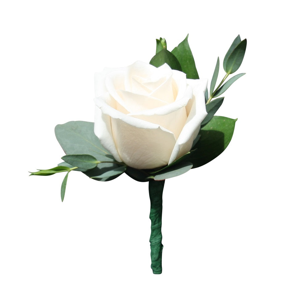 Cream Rose Wedding Boutonniere