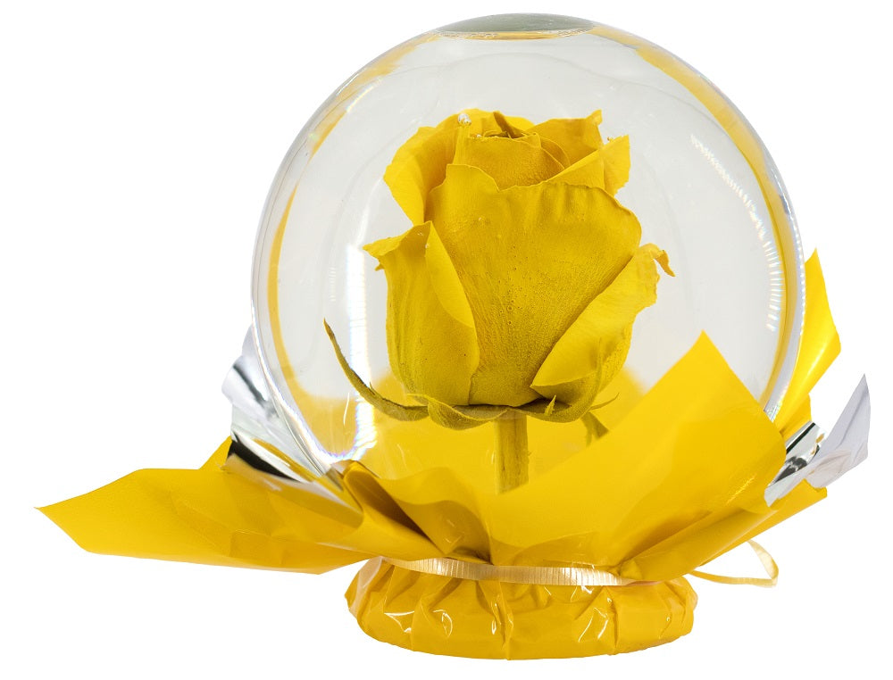 Enchanted Beauty Rose Globe- Yellow