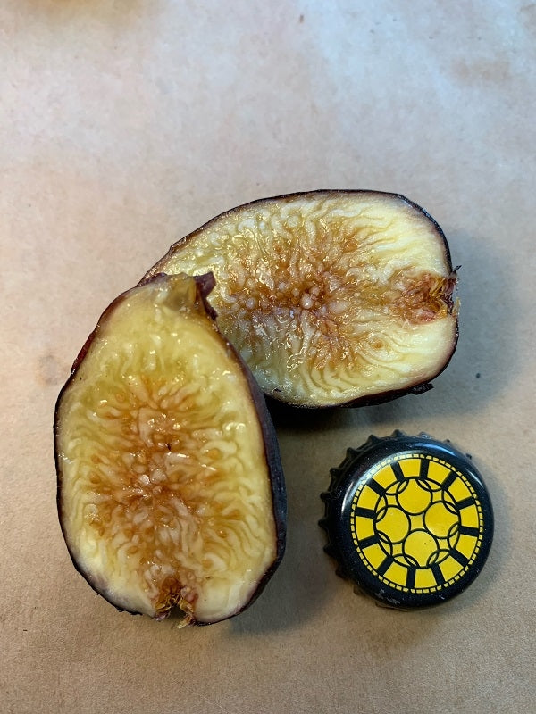 Zaffiro Fig Fruit